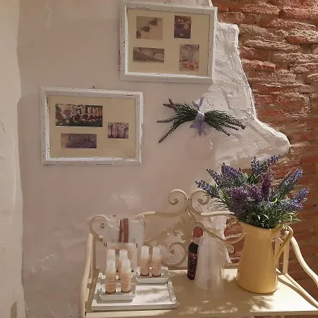 Appartamento La Tana Del Riccio *