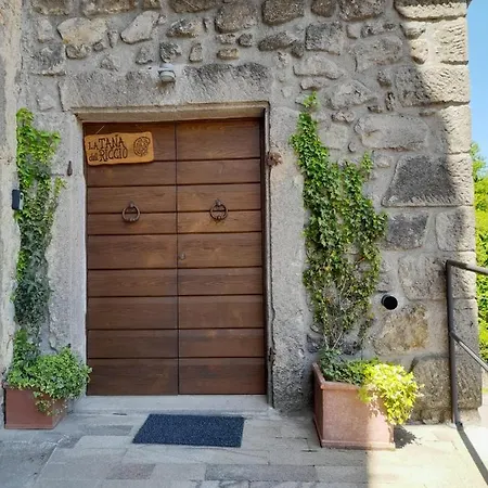 La Tana Del Riccio Apartment *