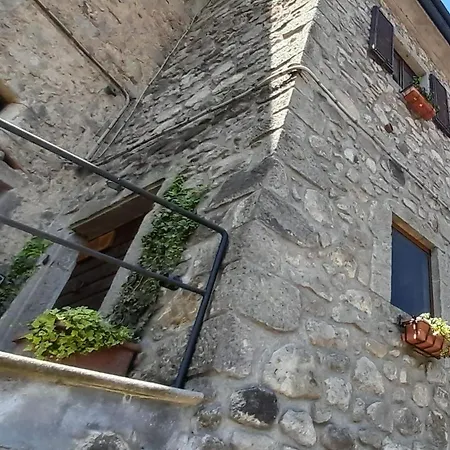 La Tana Del Riccio Apartment