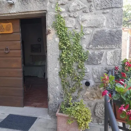 La Tana Del Riccio Apartment *